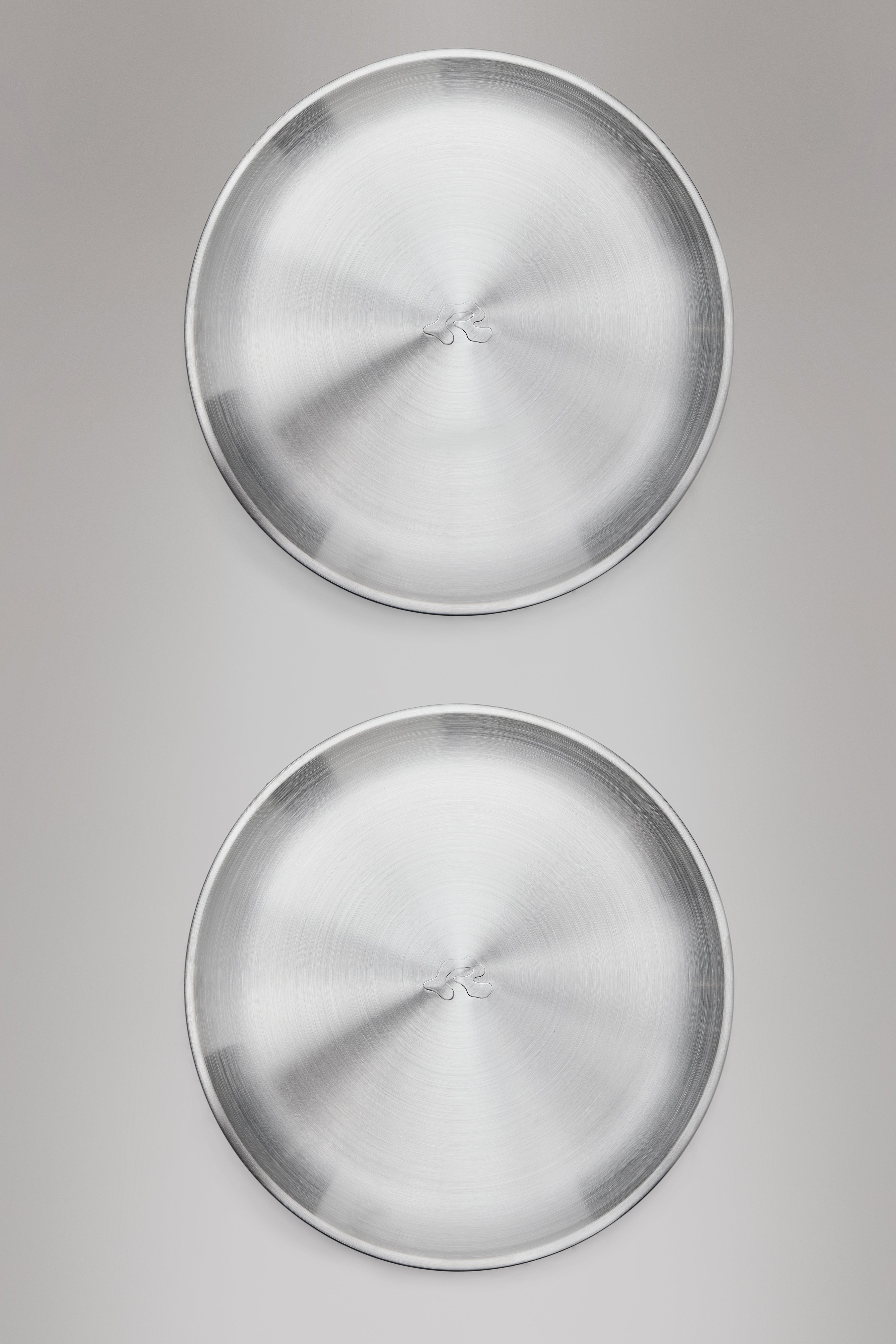 RAINS Stainless Steel 2-Pack Plates Steel Food Storage